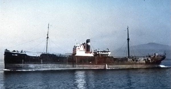 Salitre por T. Diedrich Salitre por T. Diedrich